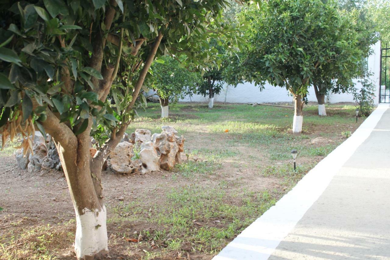Elias Maro House Villa Avdou Luaran gambar